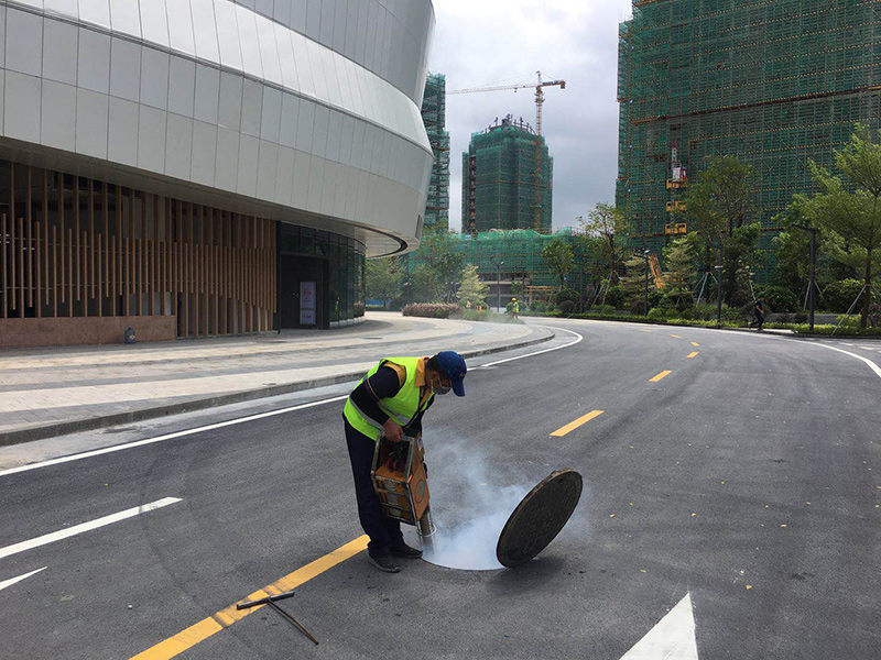 中山虫害防治施工现场图2