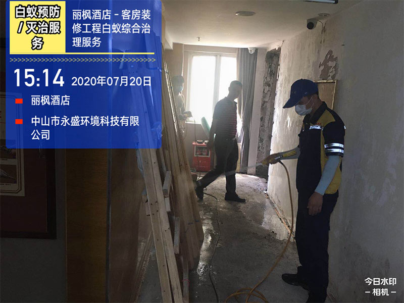 丽枫酒店白蚁防治效果图.jpg